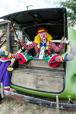 Jester / Clown